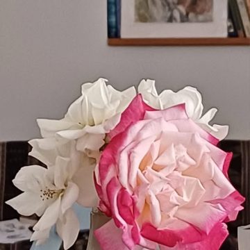 509423101_10162977217024736_4201714713402750439_n