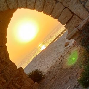 תמונה של WhatsApp‏ 2025-03-19 בשעה 16.09.31_2f5d0815